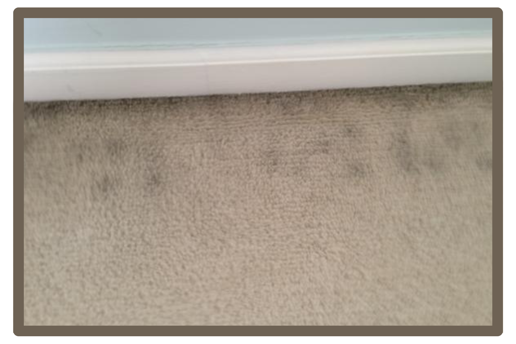 Getting Rid of Carpet Edge Soiling – AKA Ghosting